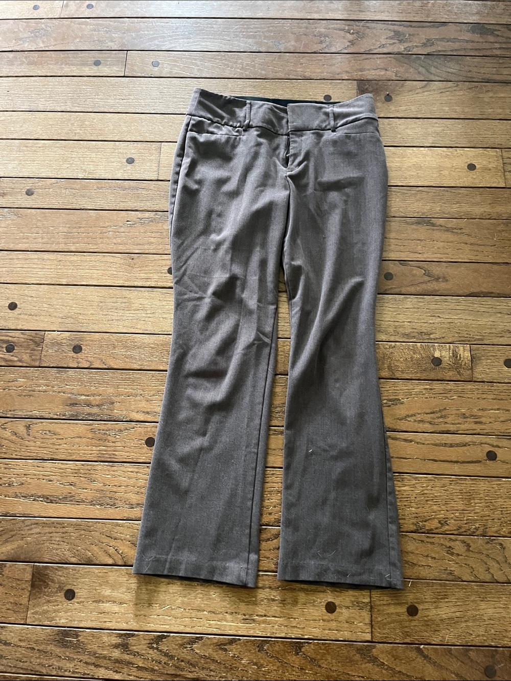 Apt. 9 Women's Boot Cut Pants in Charcoal Brown